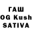 Псилоцибиновые грибы GOLDEN TEACHER Khady Sall