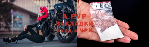 spice Белокуриха