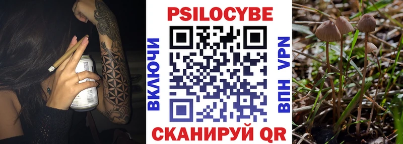 где найти   omg tor  Галлюциногенные грибы Cubensis  Коммунар 